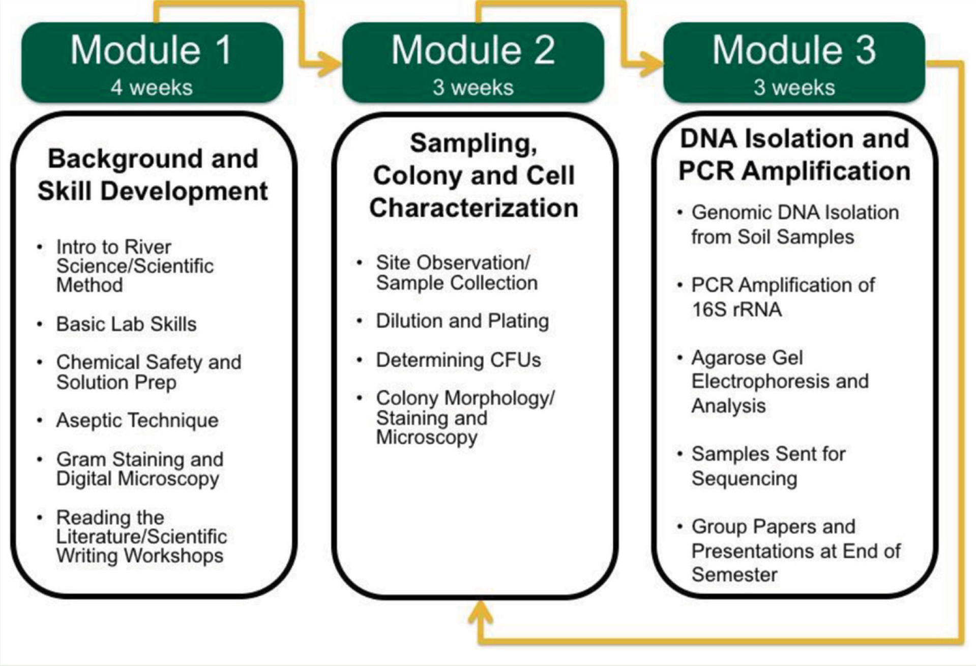 Overview of the BIO2 CURE lab curriculum.