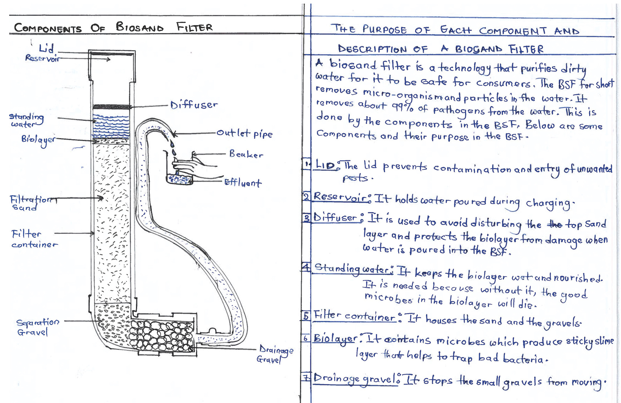 Pages from a booklet produced by a group of high school students about their research.