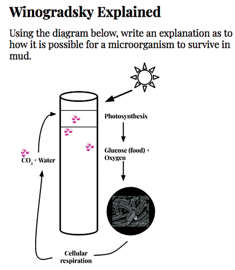 |	FIGURE 4: Final assessment. Students wrote a description of this diagram, explaining how a microorganism can grow in mud. 