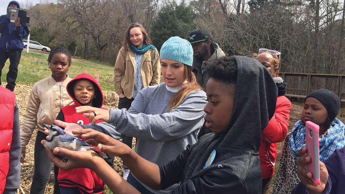 Building a Science Community