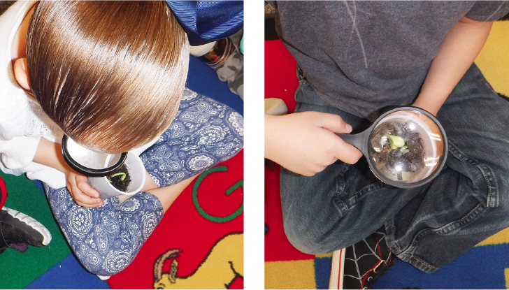 Students observe germinating seeds.