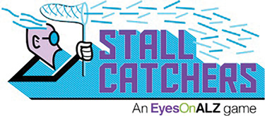 Accelerating Alzheimer’s Research With Stall Catchers