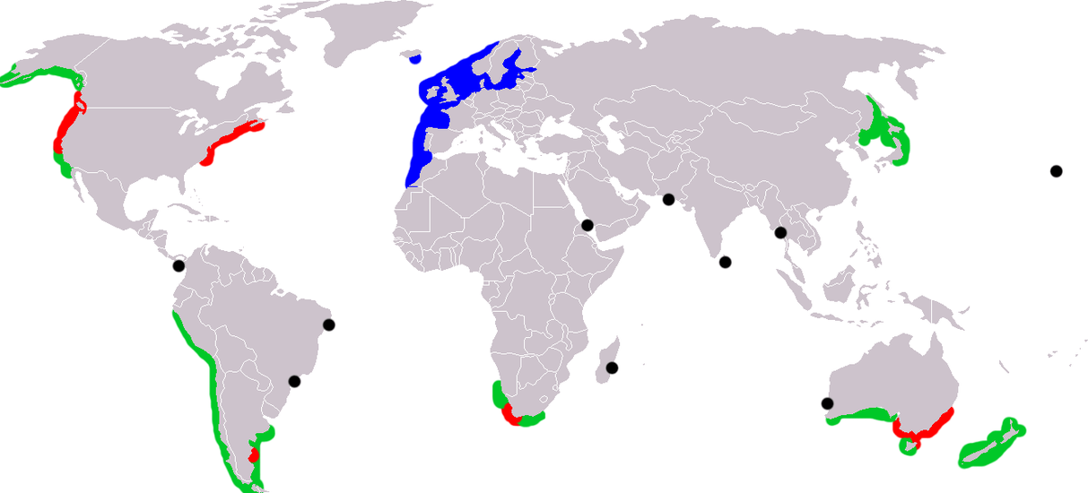 Range map of European green crab