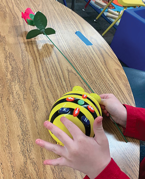 A child pushes the buttons on the Bee-Bot to make it go to the flower.