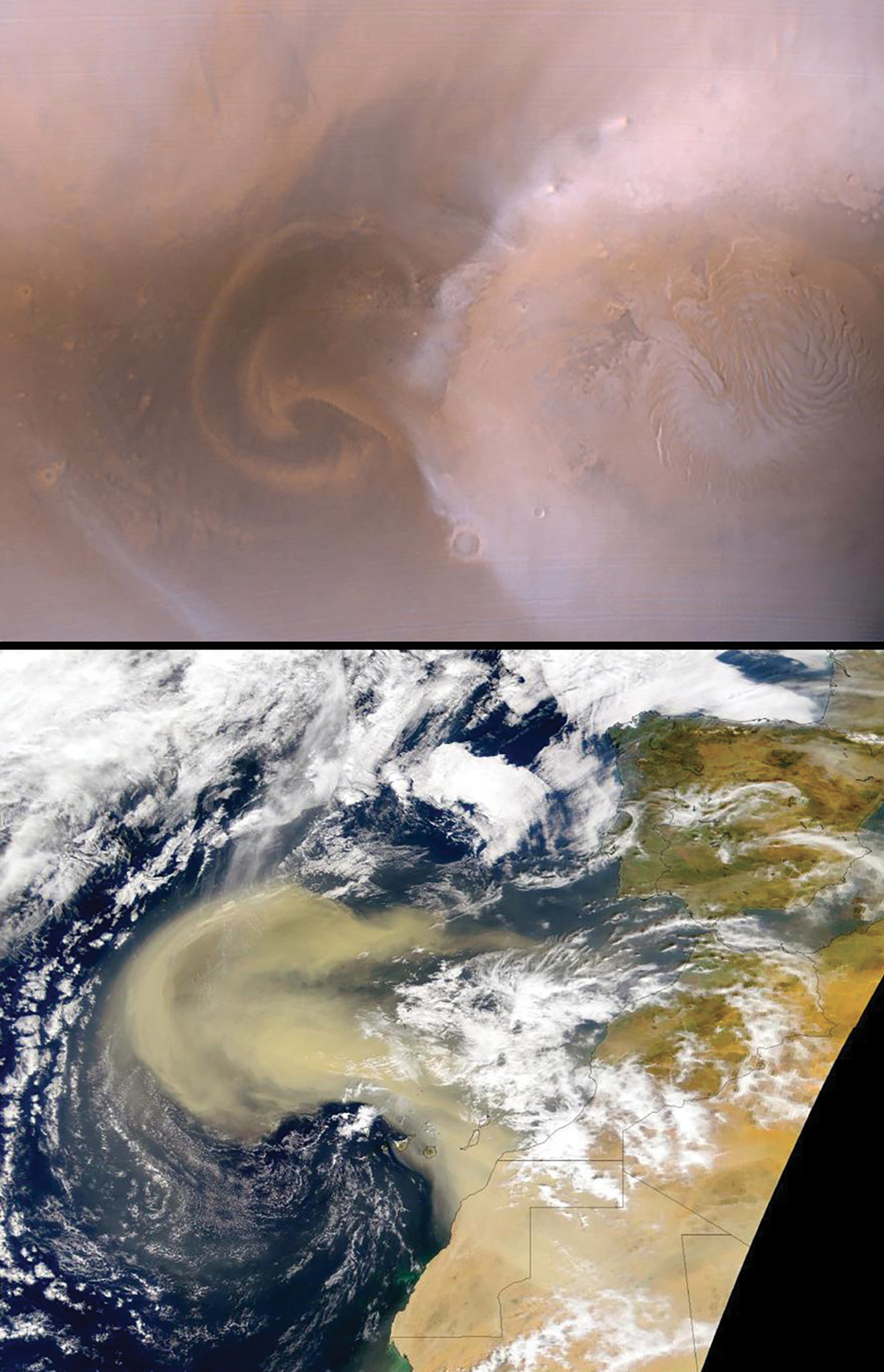 Recent Mars and Earth dust storms compared