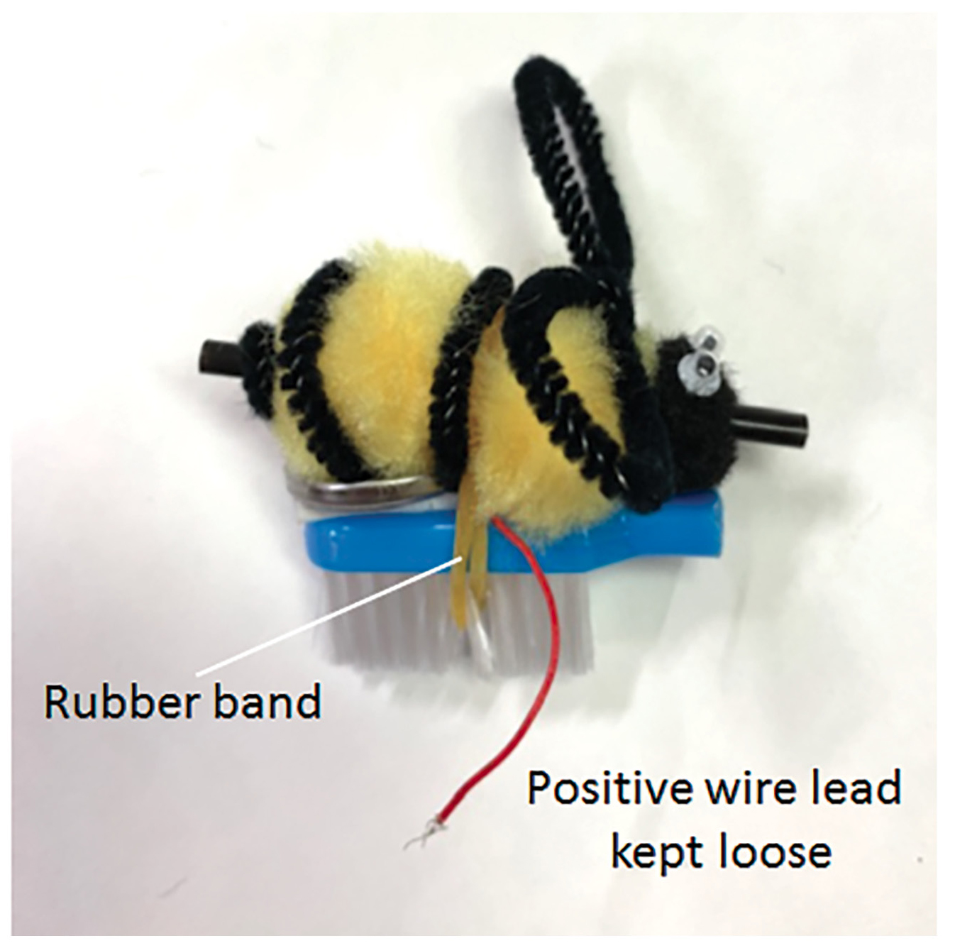 Placement of the rubber band to secure bee body to brush bot.