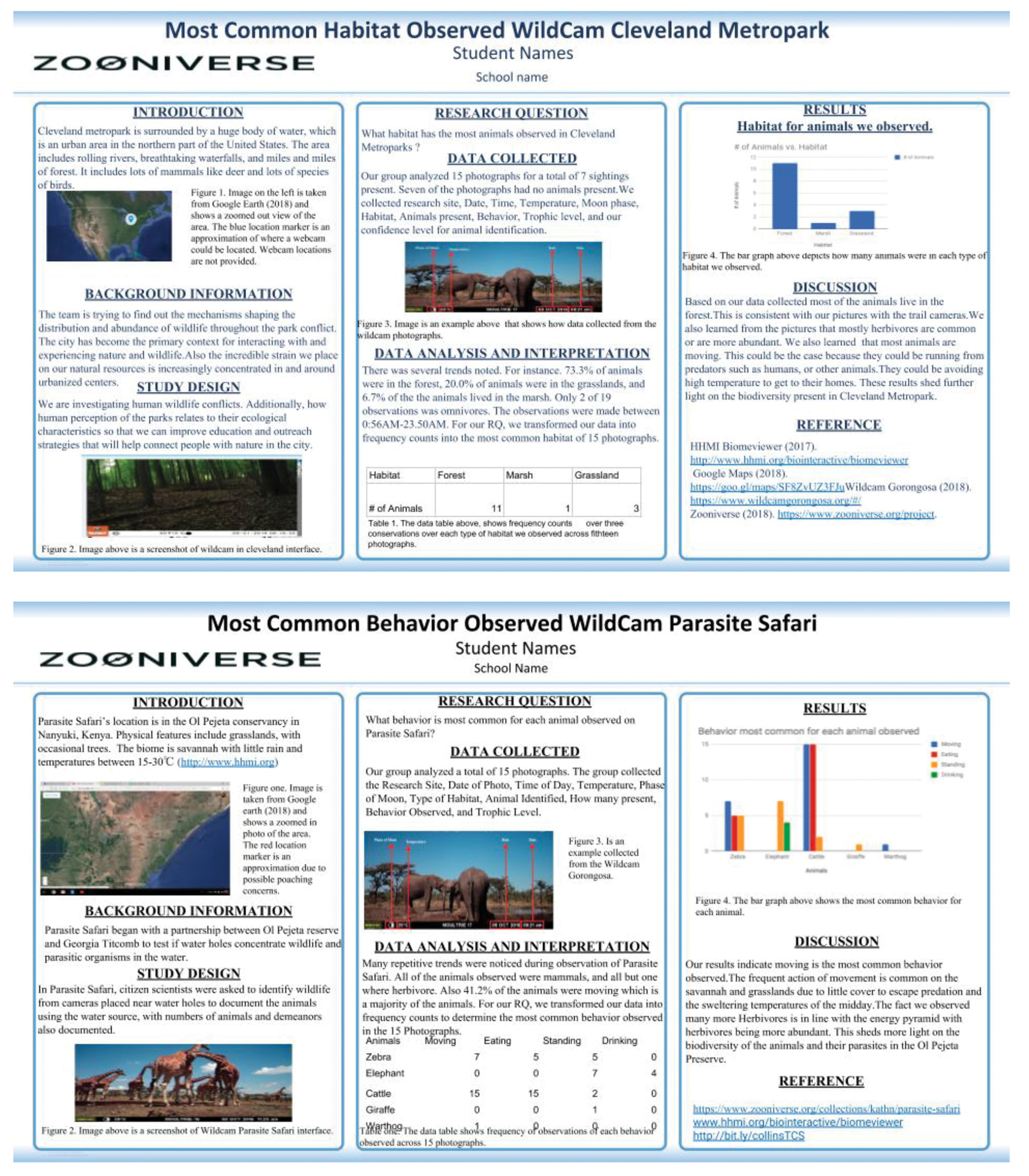 Scientific posters created by students.