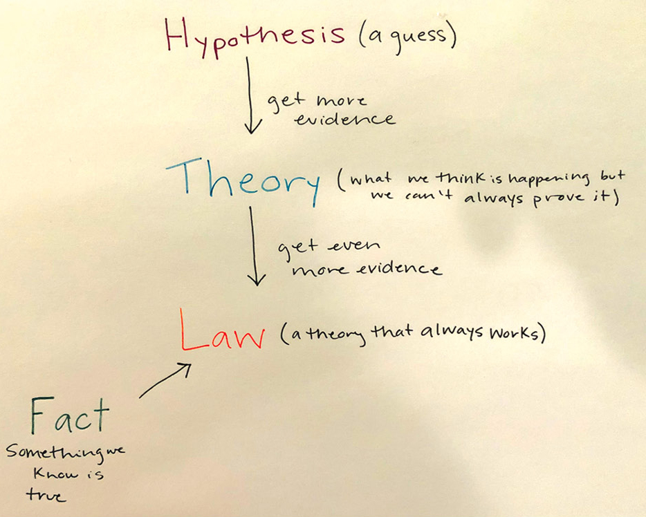 Student Artifact: Language of Science Mind Map