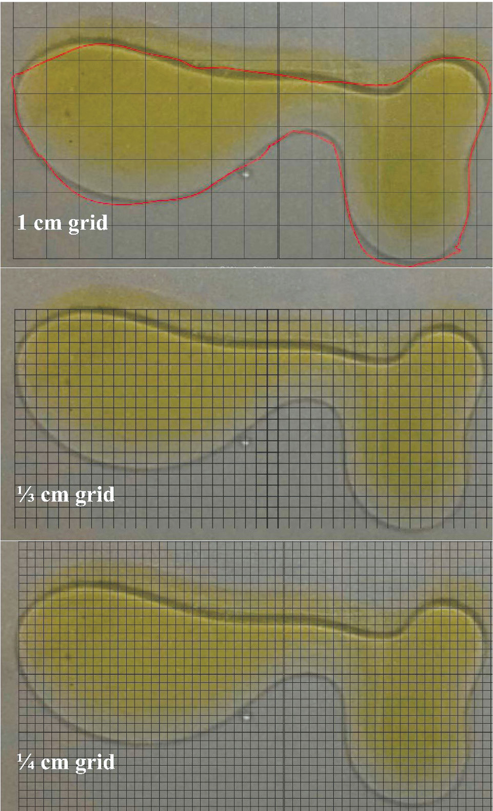 Different grid sizes overlaid on the spill to estimate the area of an oil spill.