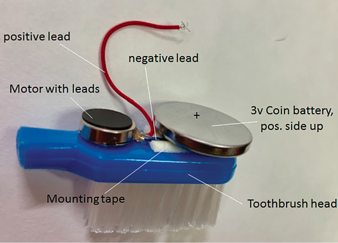 Placement of motor, black/negative lead, mounting tape and coin battery on toothbrush bristles.