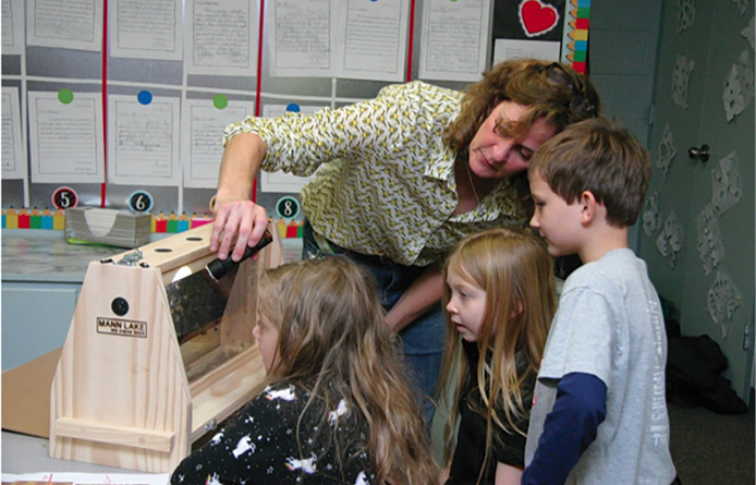 Students observed bees when an apiarist visited the classroom.