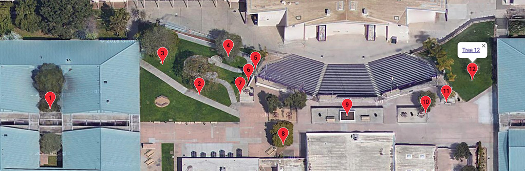 Locations of trees on the school site.