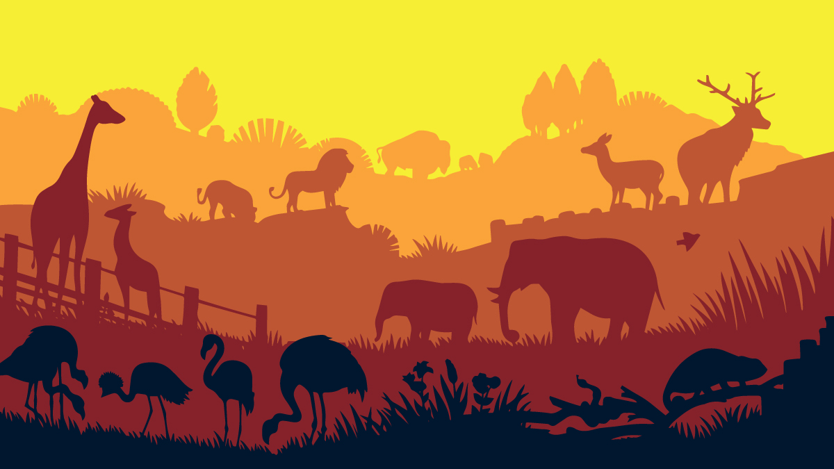 Exploring the Zooniverse