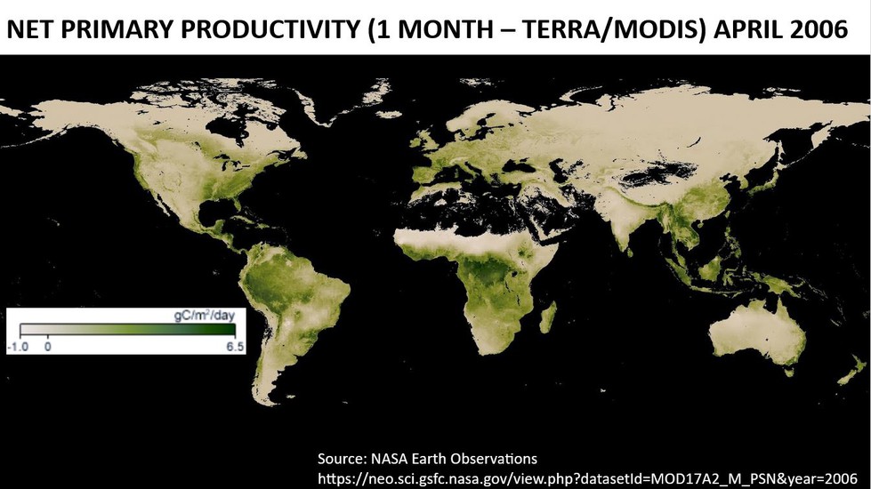 Net Primary Productivity