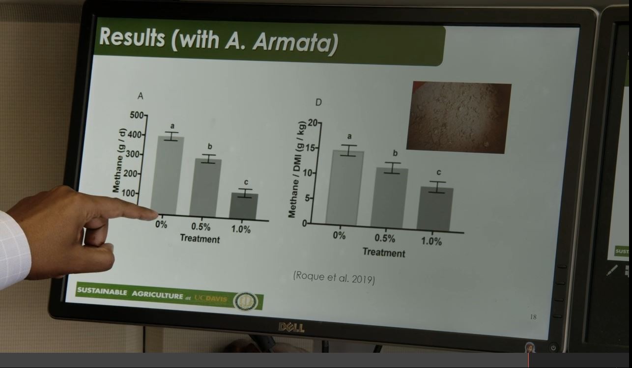 Bar graph