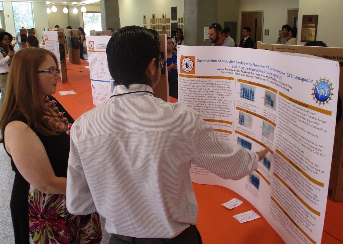 Students’ final presentations 