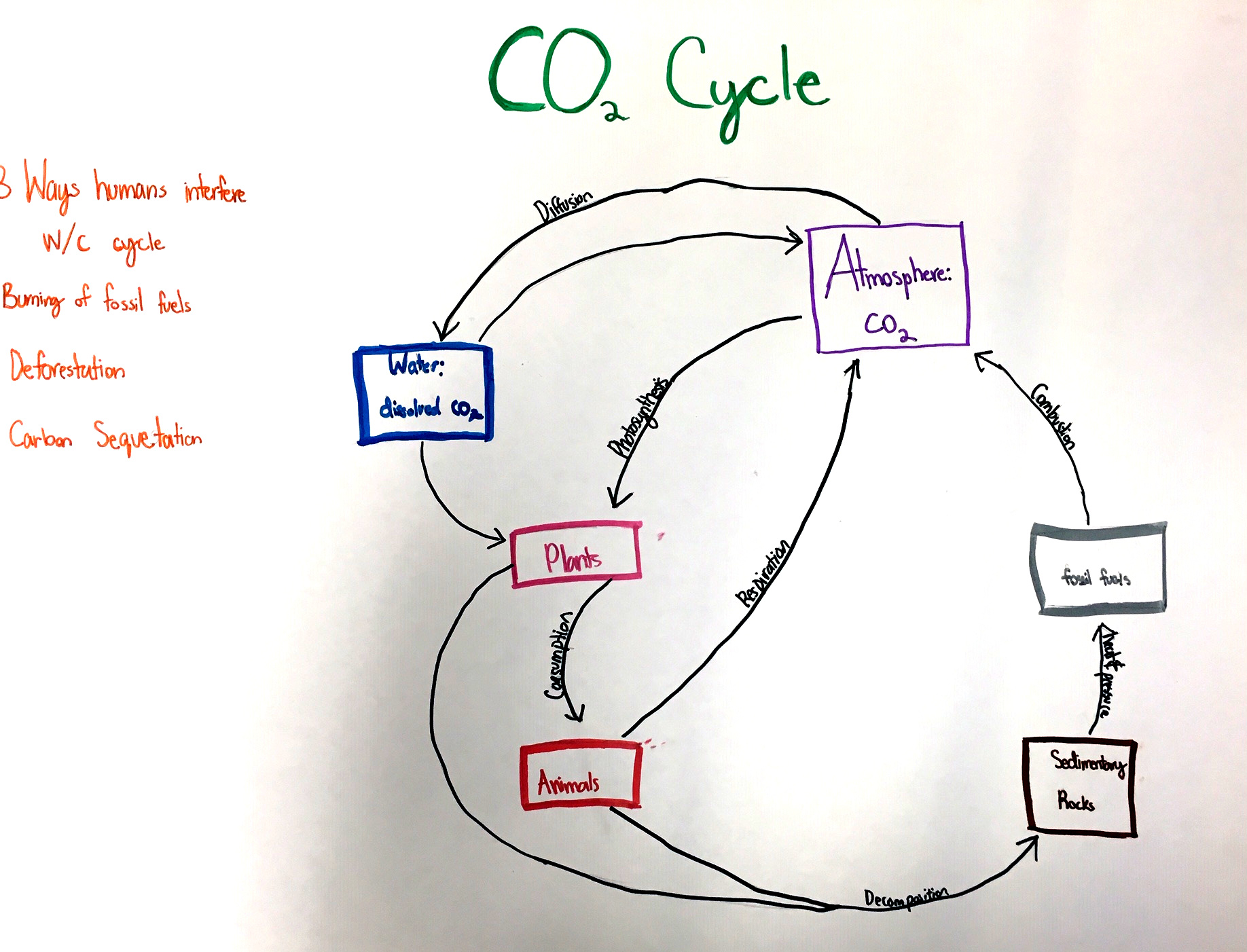 The Carbon Cycle and Climate Change NSTA
