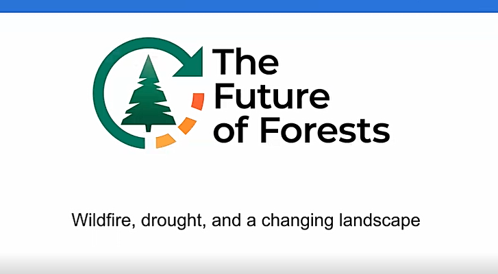 Wildfires, Drought, and the Future of Forests