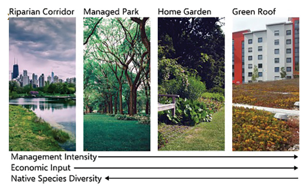 Urban greenspaces can be intentionally designed to increase biodiversity, improve human interaction to nature, and the ecosystem services.