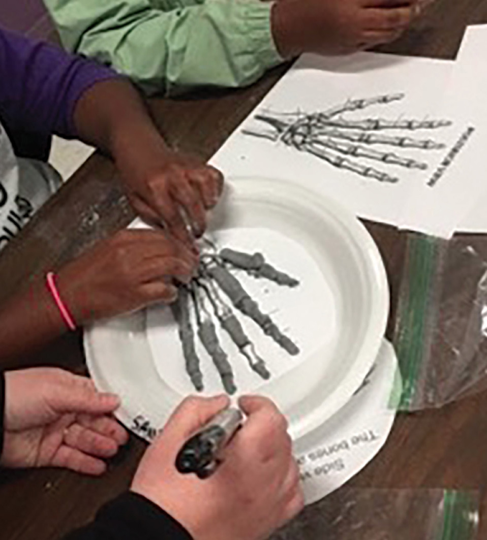 Students use clay to model the bones of the hand using a guide.