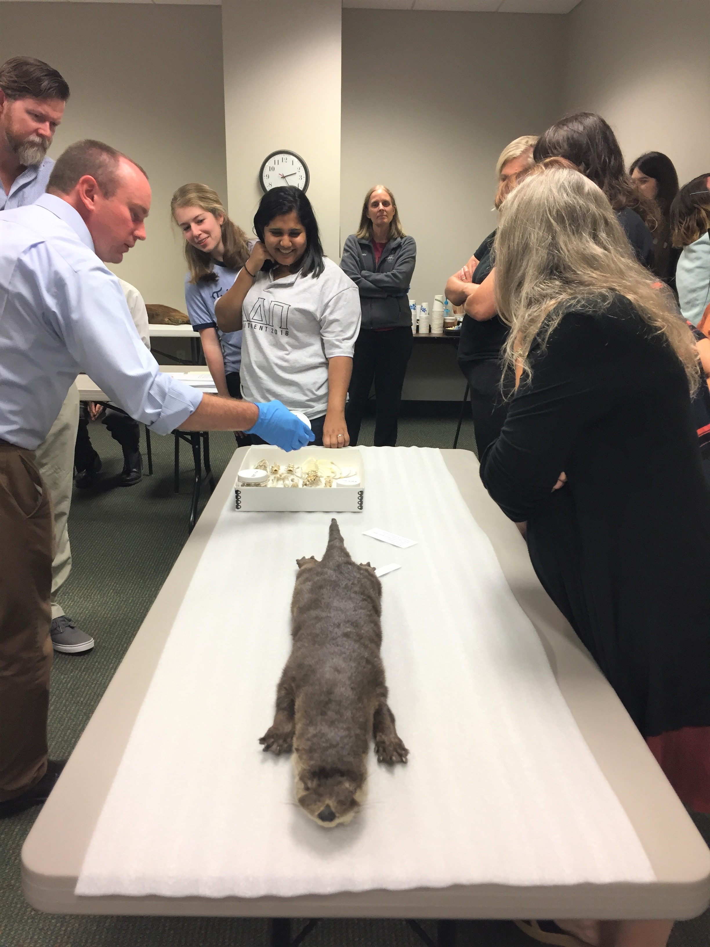 A museum curator shares information about Brazos River specimens.