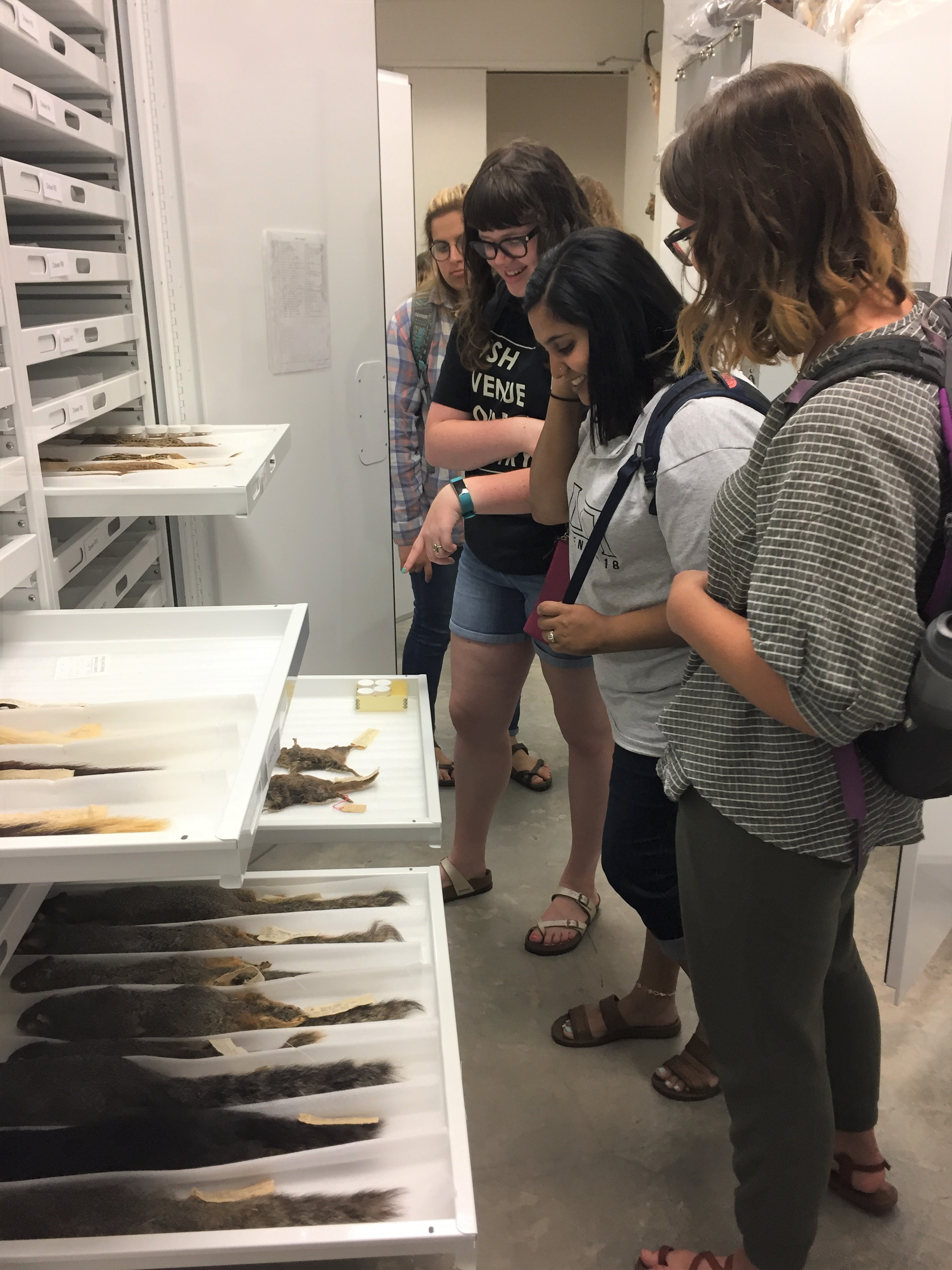 Students explore the museum's natural history collection.
