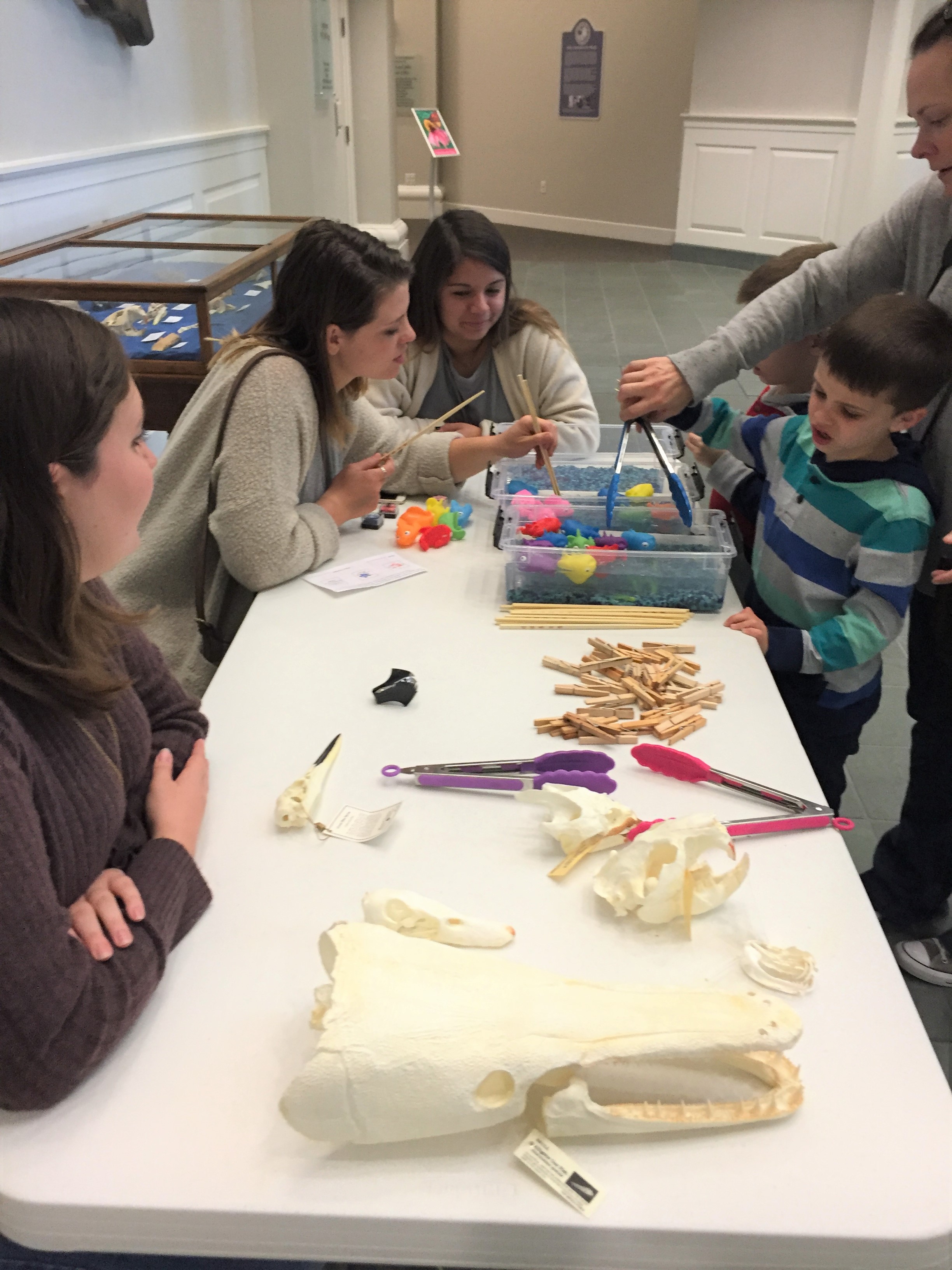 Students and community members engage in a hands-on river station experience during the museum Community Day.