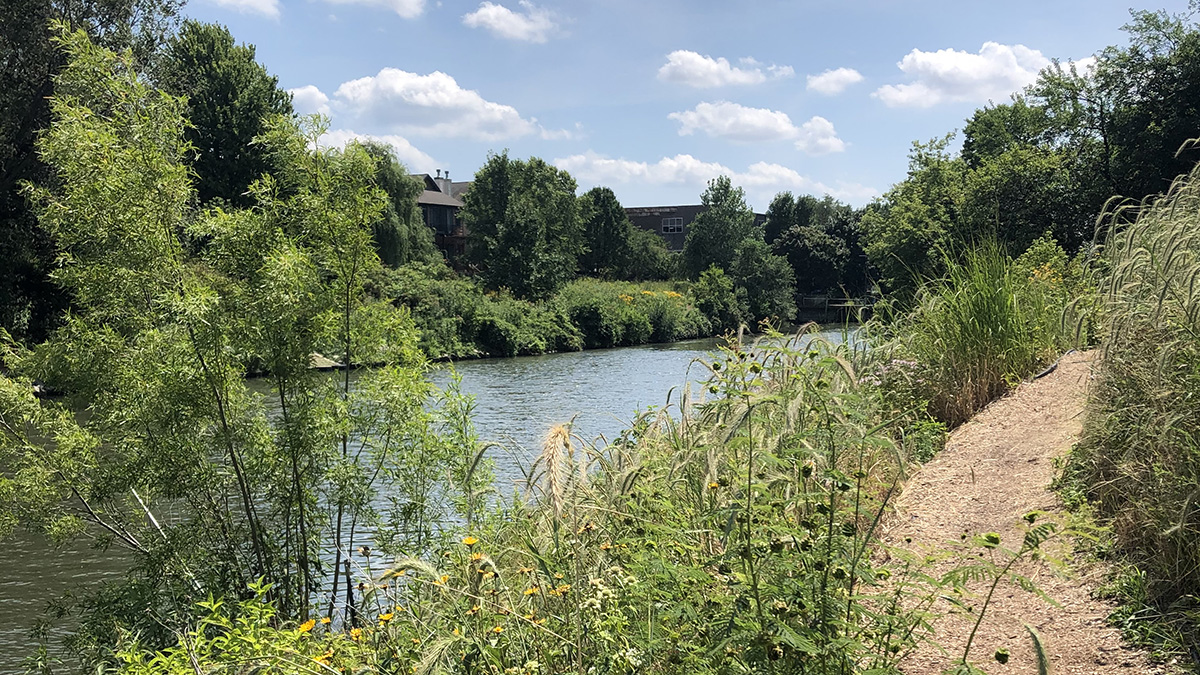 Promoting Biodiversity Through Urban Greenspaces