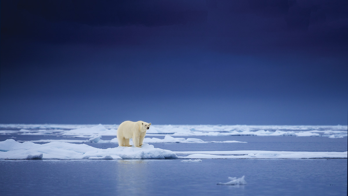 Crafting and Critiquing Climate Change Evidence Arguments