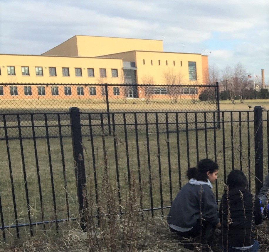 Figure 10. Two students collecting soil samples on the school grounds