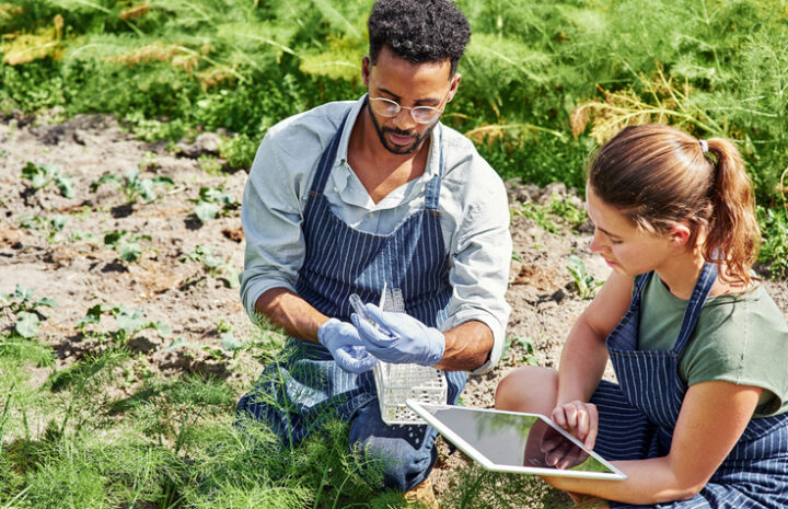 learning outdoors