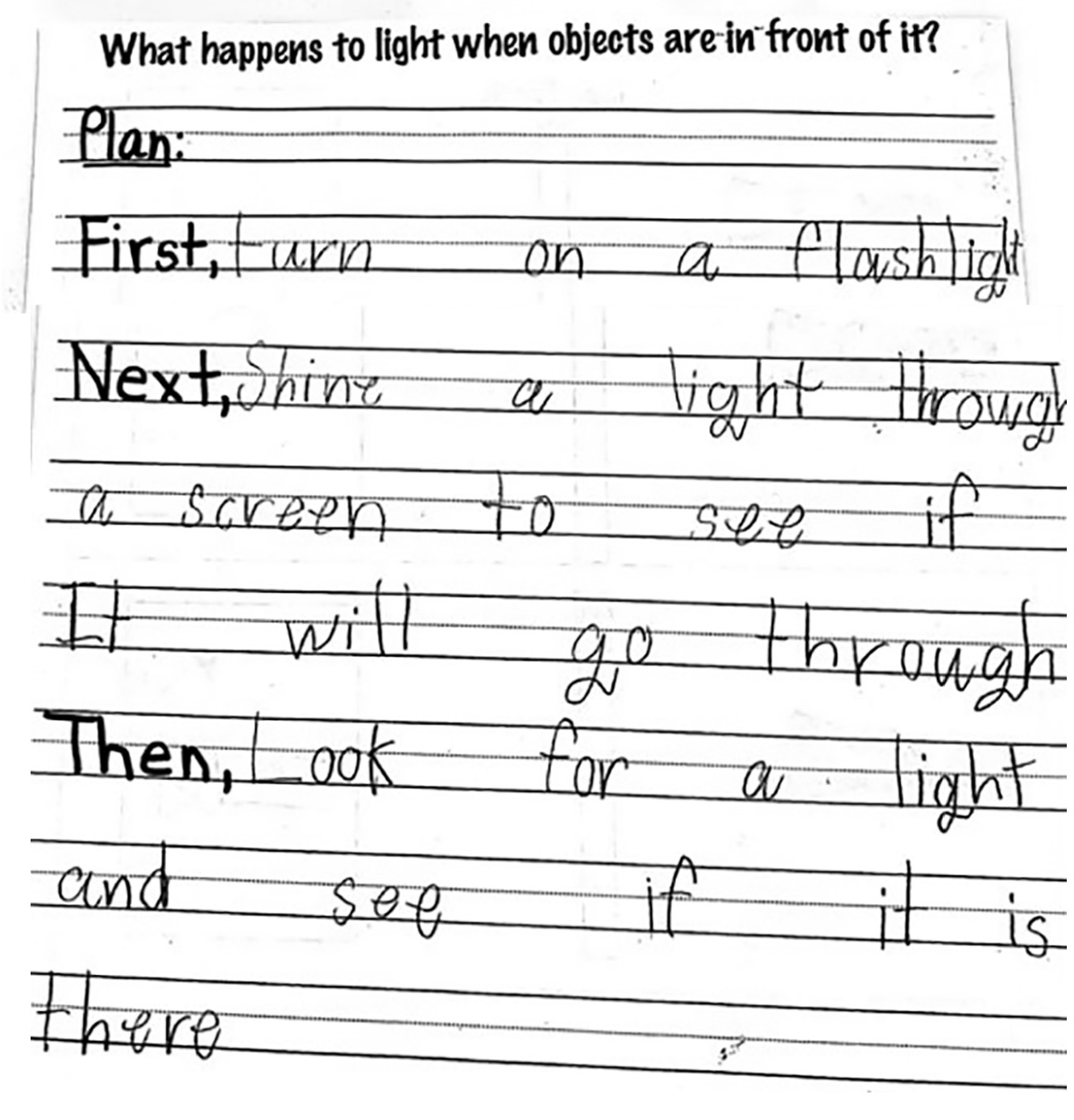 First-grade investigation plan.