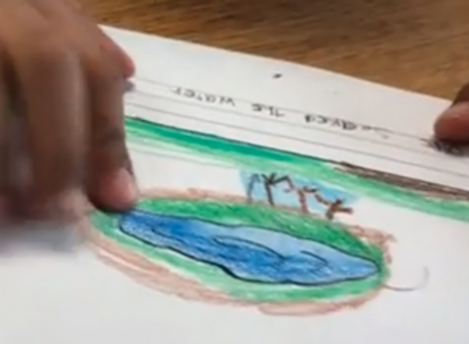 First grader's initial modeling example. “This is the water, and the roots are sucking up the water.” 