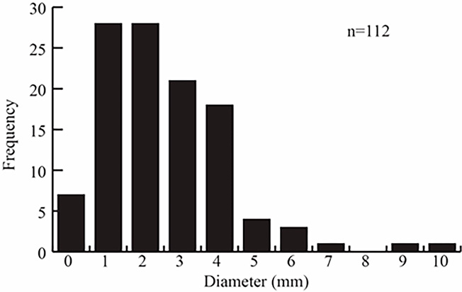 Example histogram showing edrioasteroid diameter and frequency.