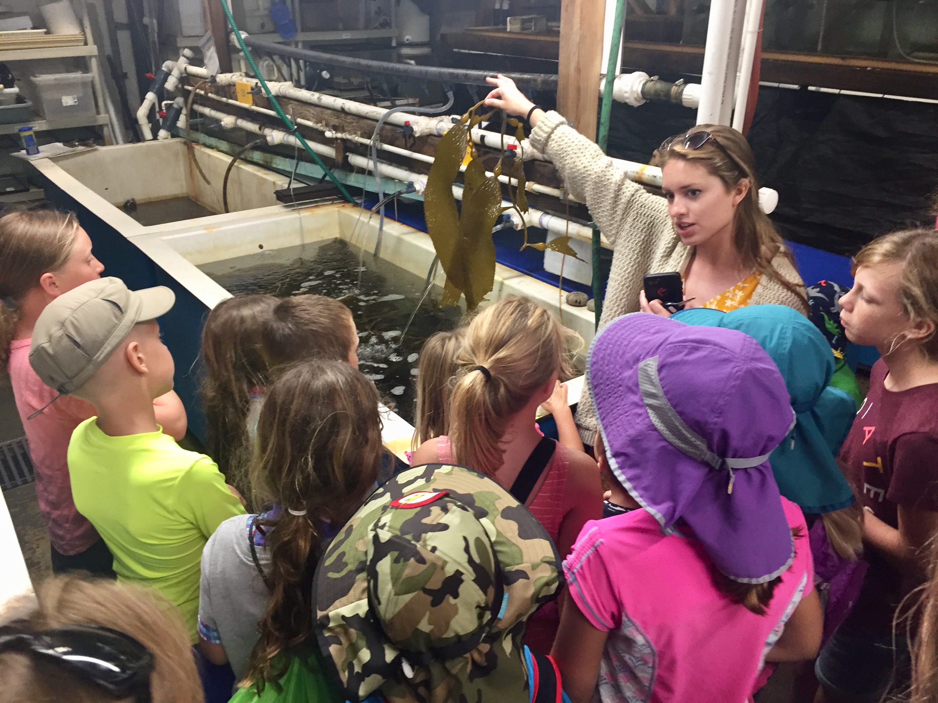 Scripps PhD candidate and SCOPE volunteer Kayla Wilson teaches students about the importance of kelp in marine ecosystems while giving a tour of the Hubbs Hall Experimental Aquarium.