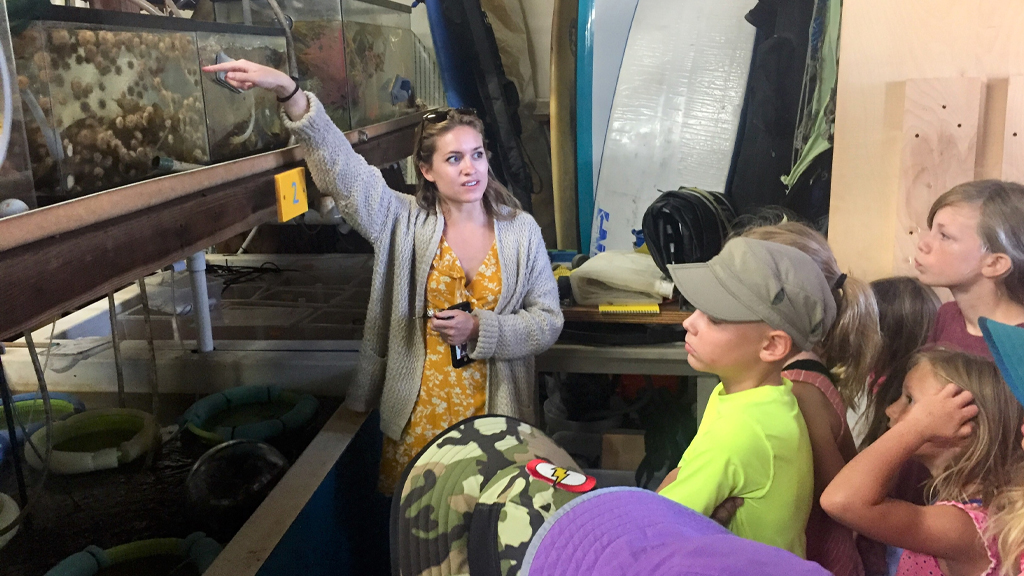 SCOPE: A Volunteer-Led STEM Outreach Program Connecting Communities to Research