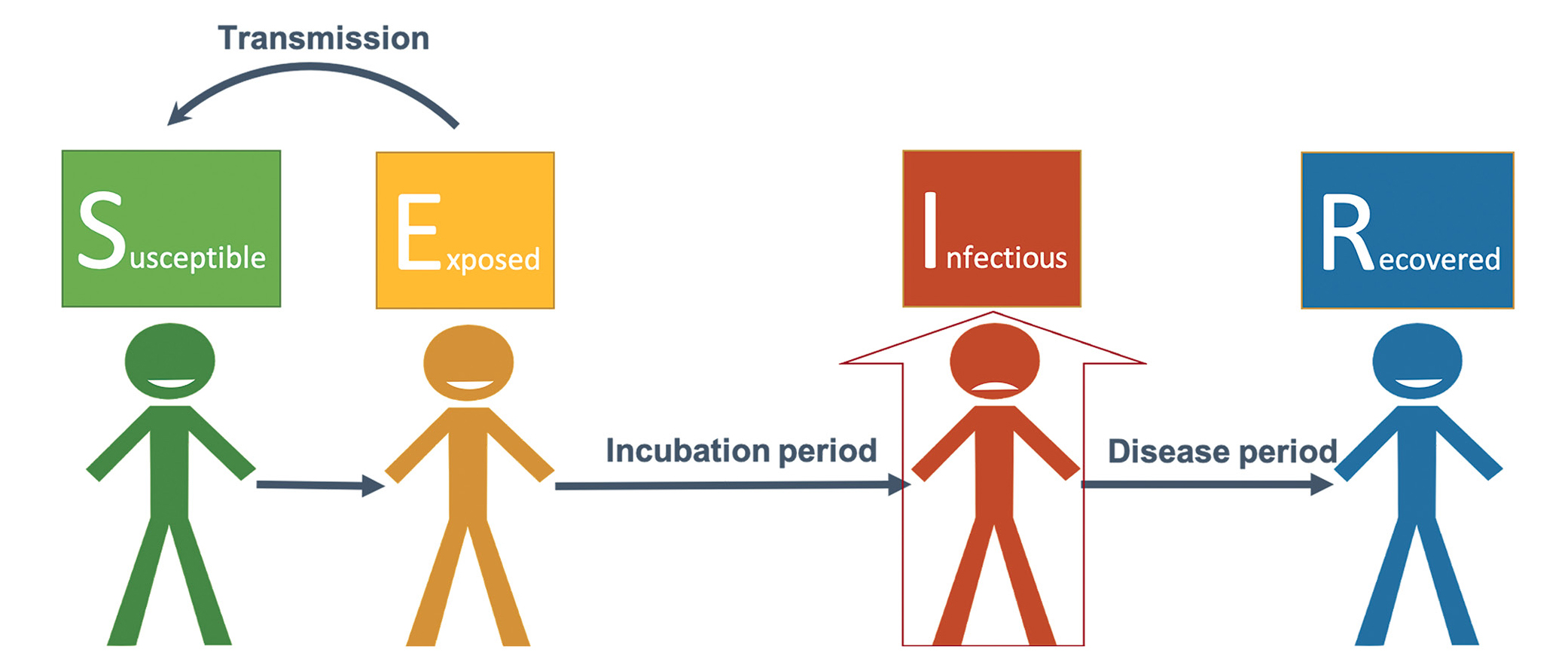 The SEIR epidemic model used in the computer simulation.