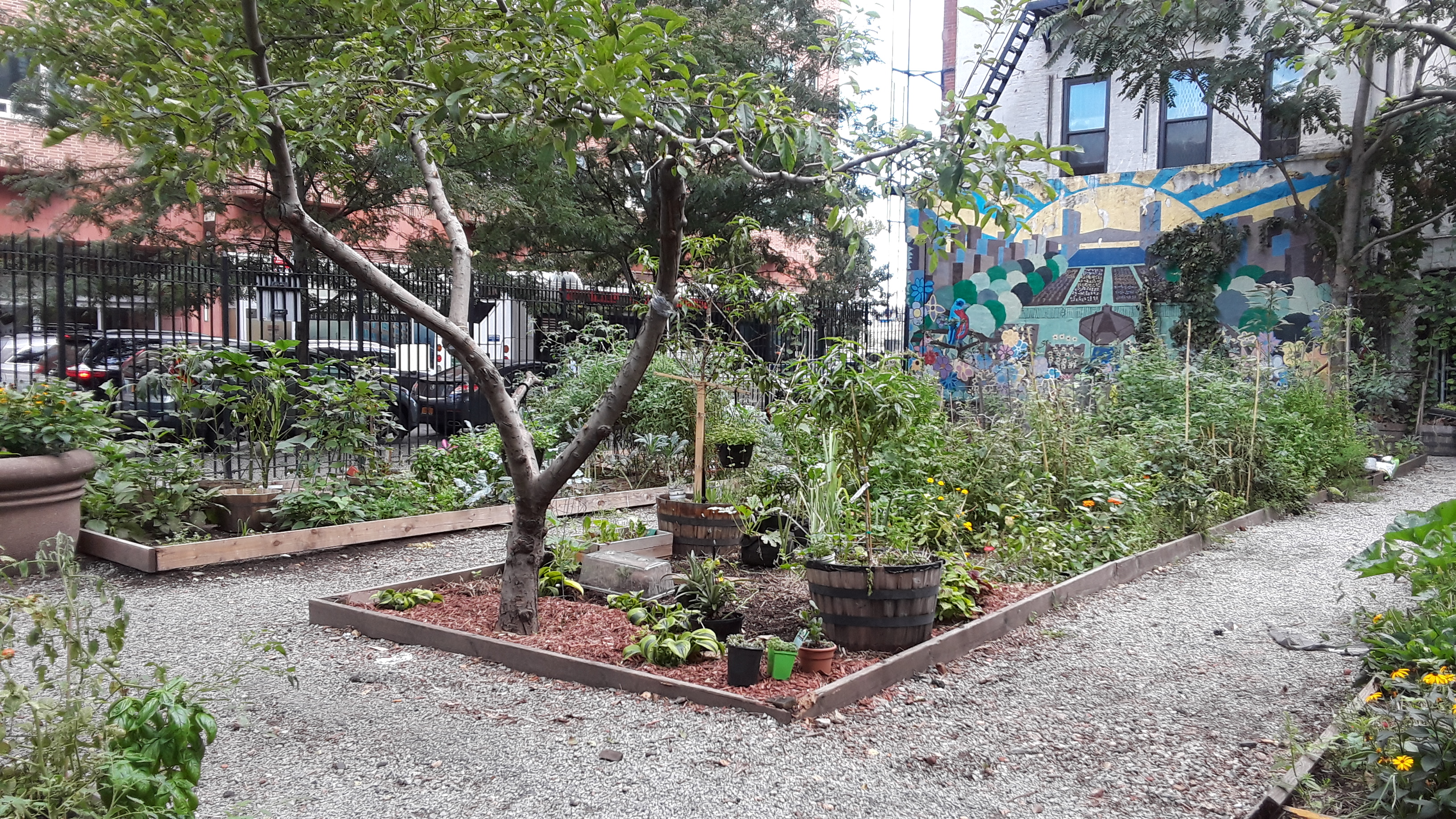 Figure 3: Carver Community Garden located in New York City