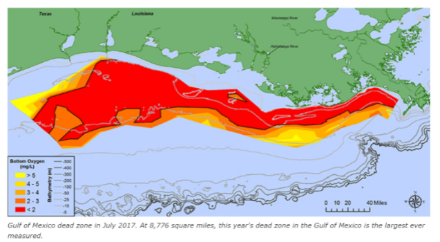 Gulf of Mexico Dead Zone Map
