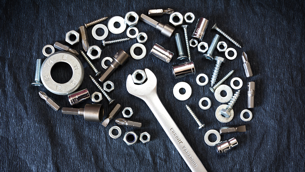 An Anatomic Study of the Automatic Autonomic Nervous System