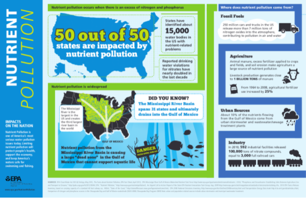 Nutrient Pollution Infographic
