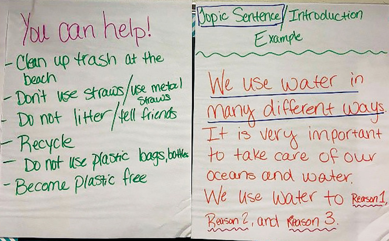 How You Can Help and Topic Sentence posters.
