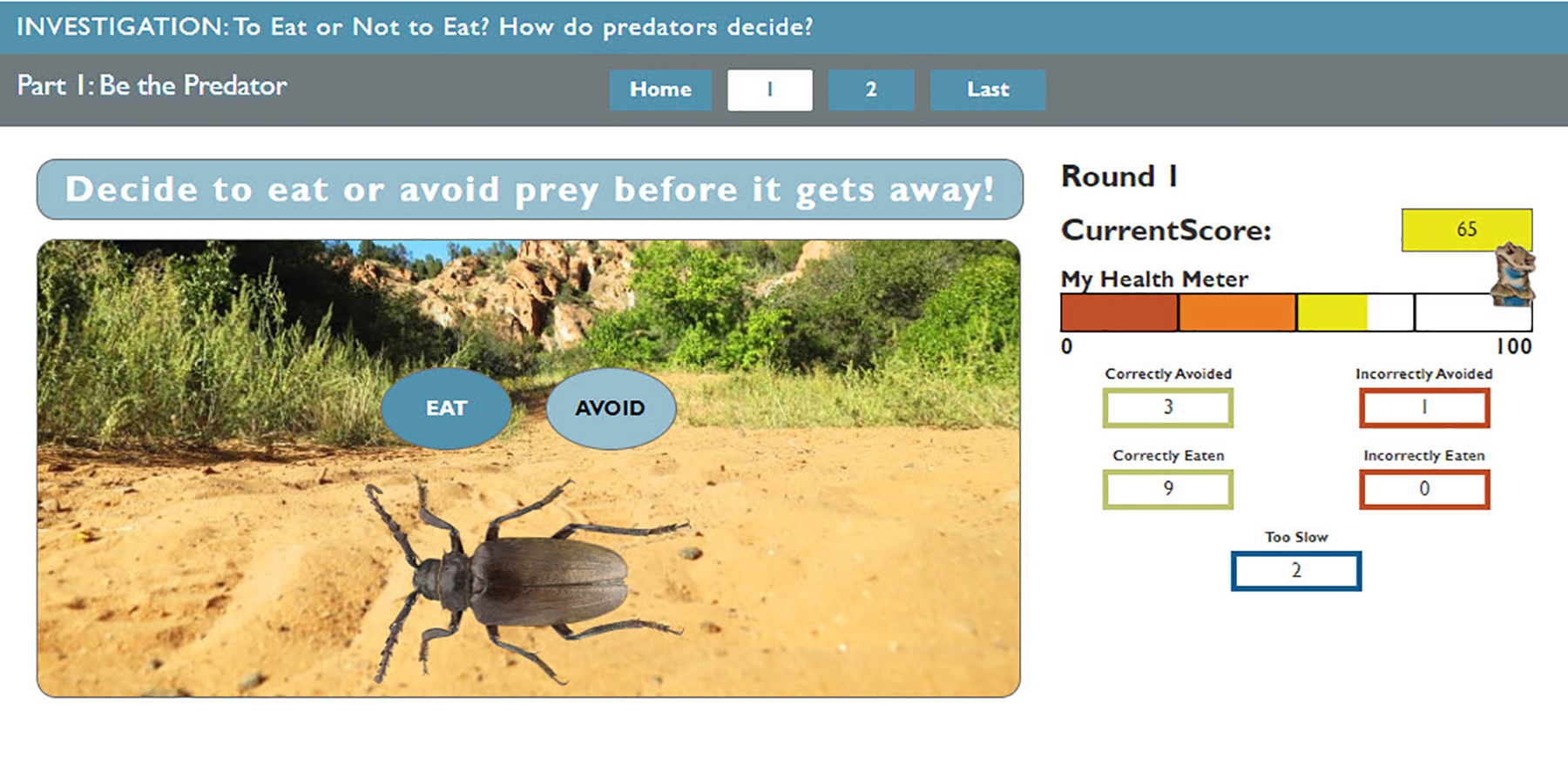 The image above shows an educational game. Students decide to eat or avoid prey. Students form predictions about how physical features of prey can influence predator behaviors.