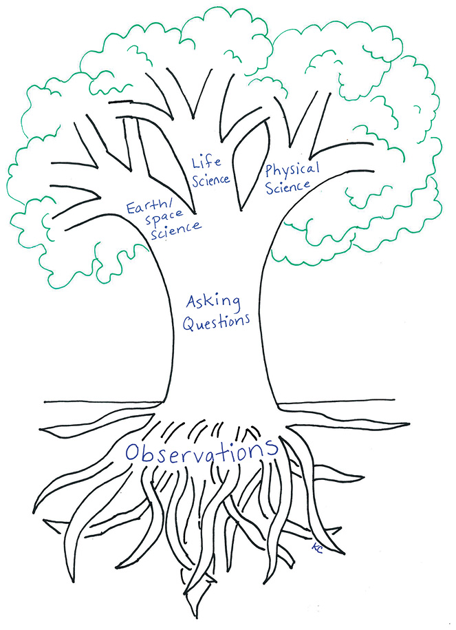  A tree drawing that serves as a visual metaphor for science.