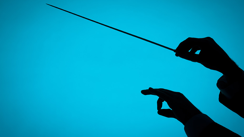 Organelles in Concert