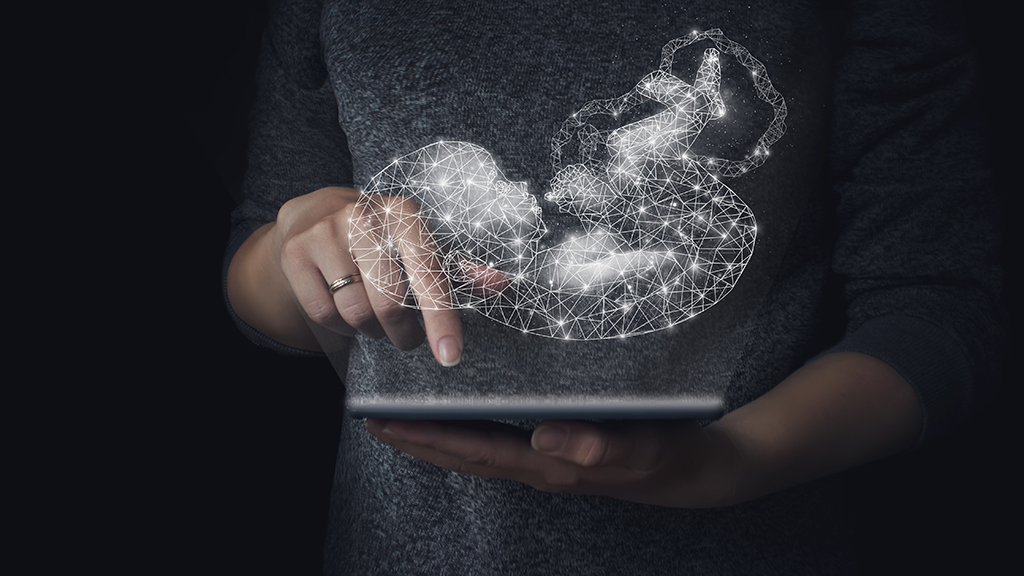 Selecting the Perfect Baby