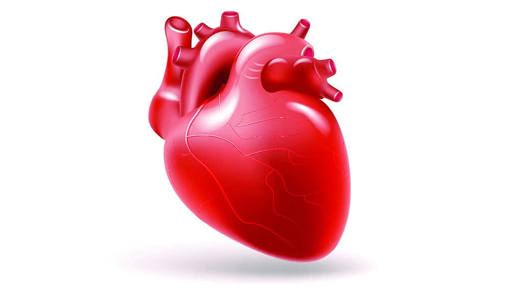 Mark’s Failing Heart