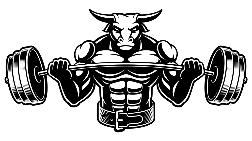 The Mystery of the Massively Muscular Myostatin Bull