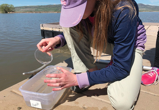 tudents collected and identified macroinvertebrates (above) and measured turbidity (below).