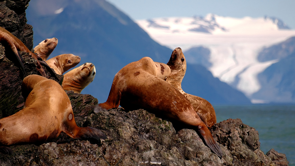 Mystery in Alaska